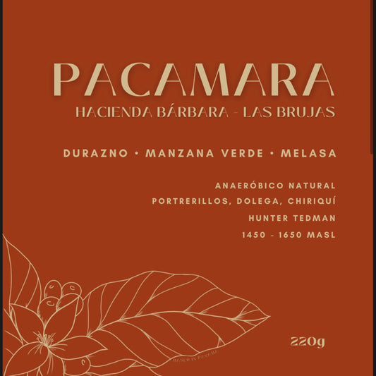 Pacamara - Hacienda Barbara