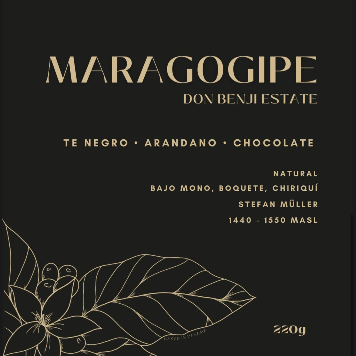 Maragogipe - Don Benjie