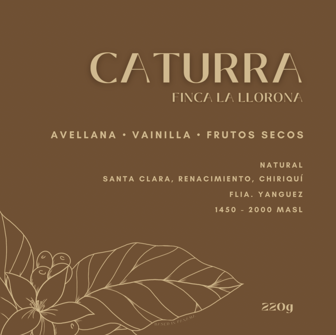 Caturra - Finca La Llorona