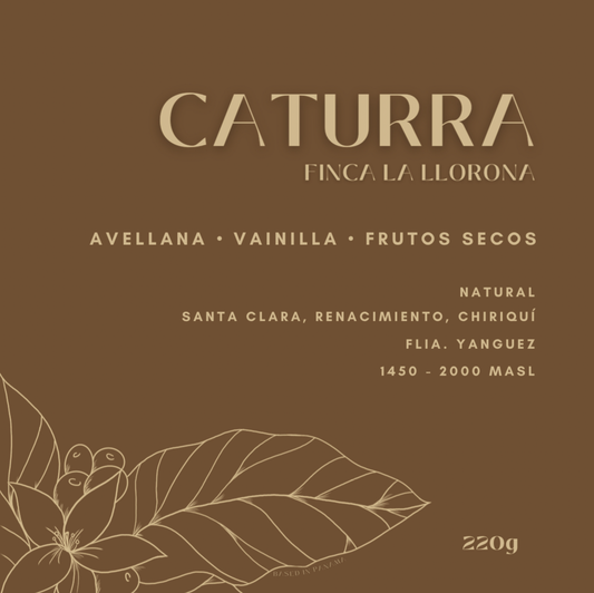 Caturra - Finca La Llorona