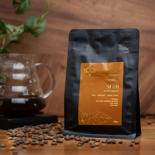 SL28 - Bonita Springs