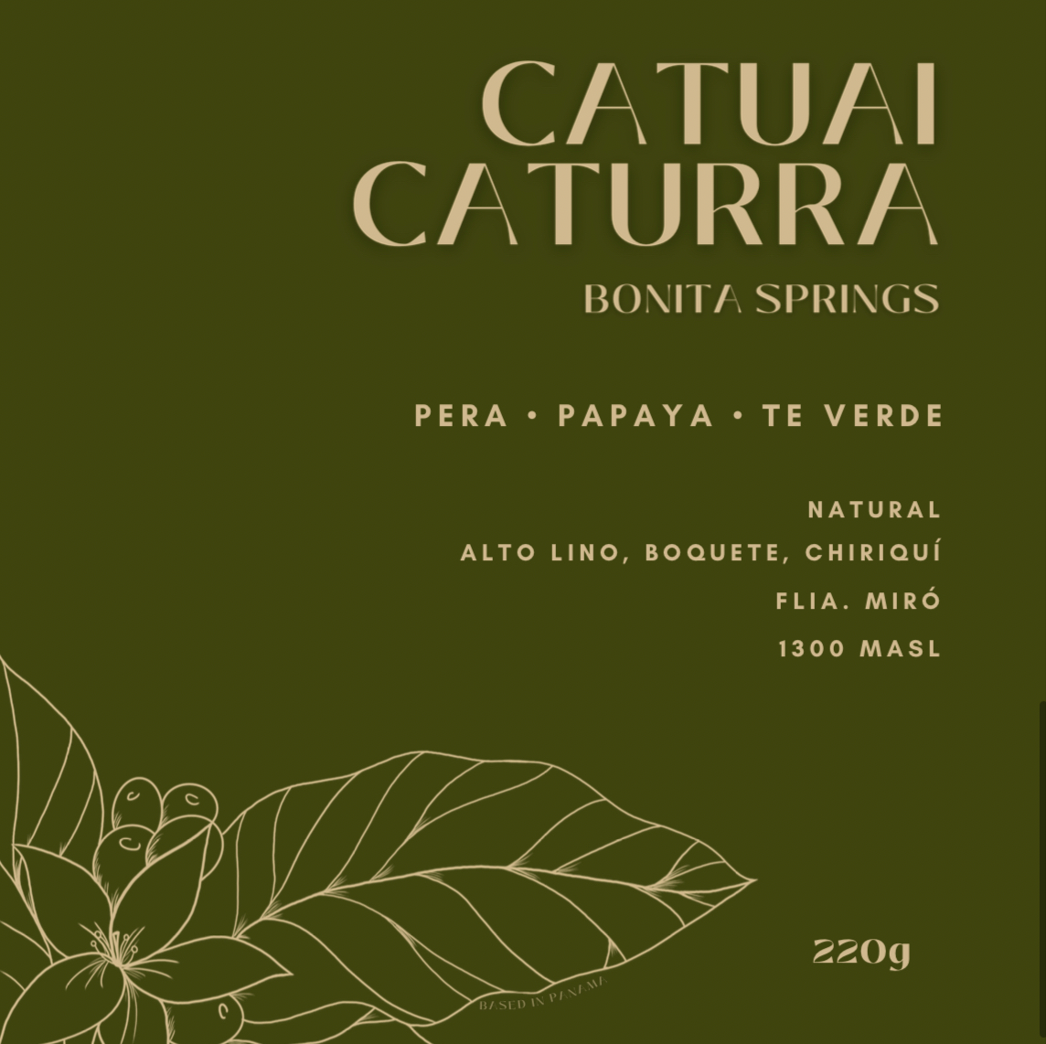 Catuai Caturra - Bonita Springs