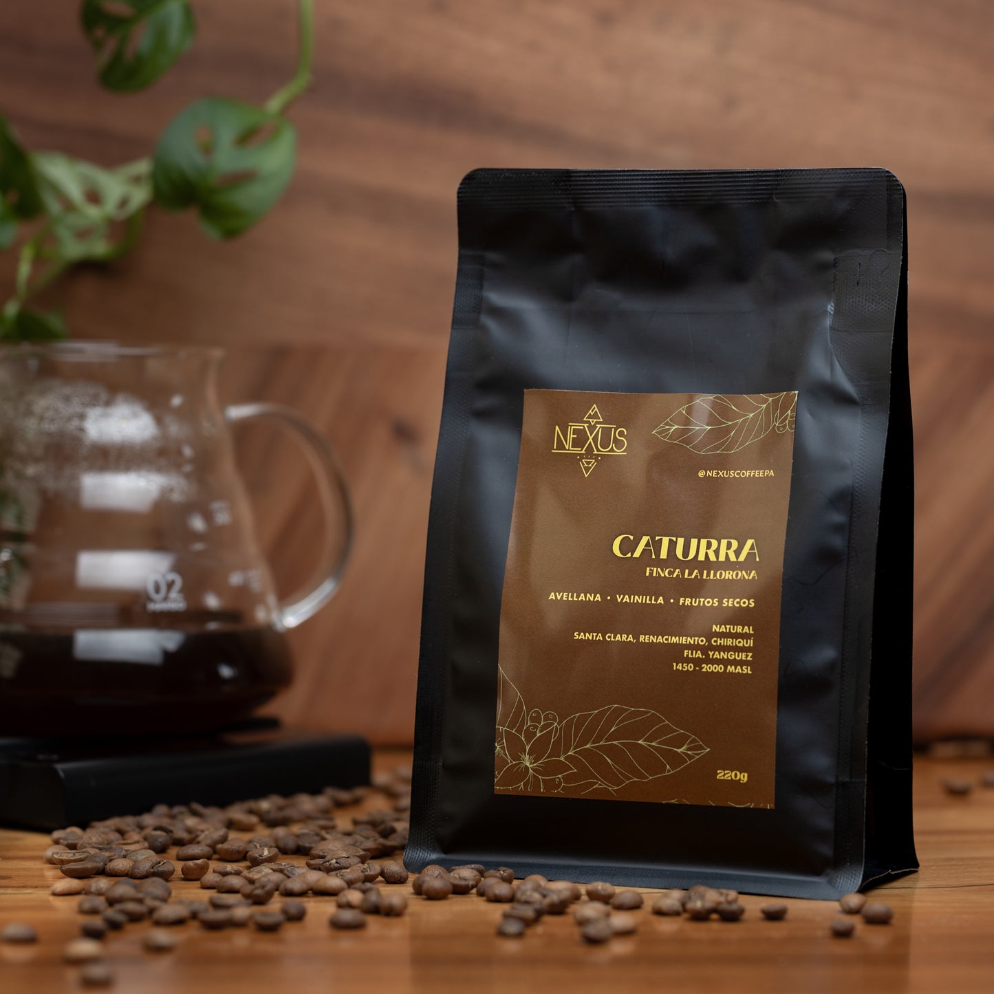 Caturra - Finca La Llorona