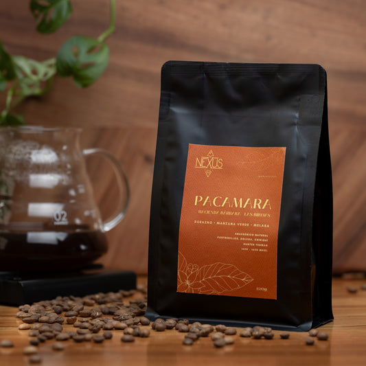 Pacamara - Hacienda Barbara