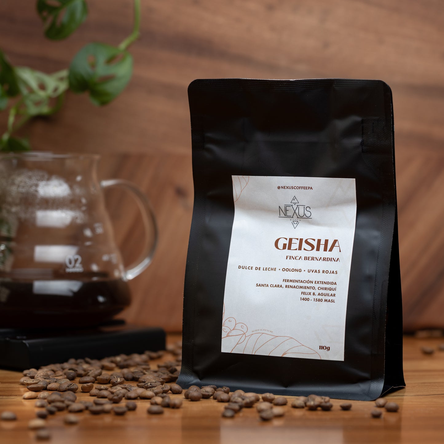 Geisha - Finca Bernardina