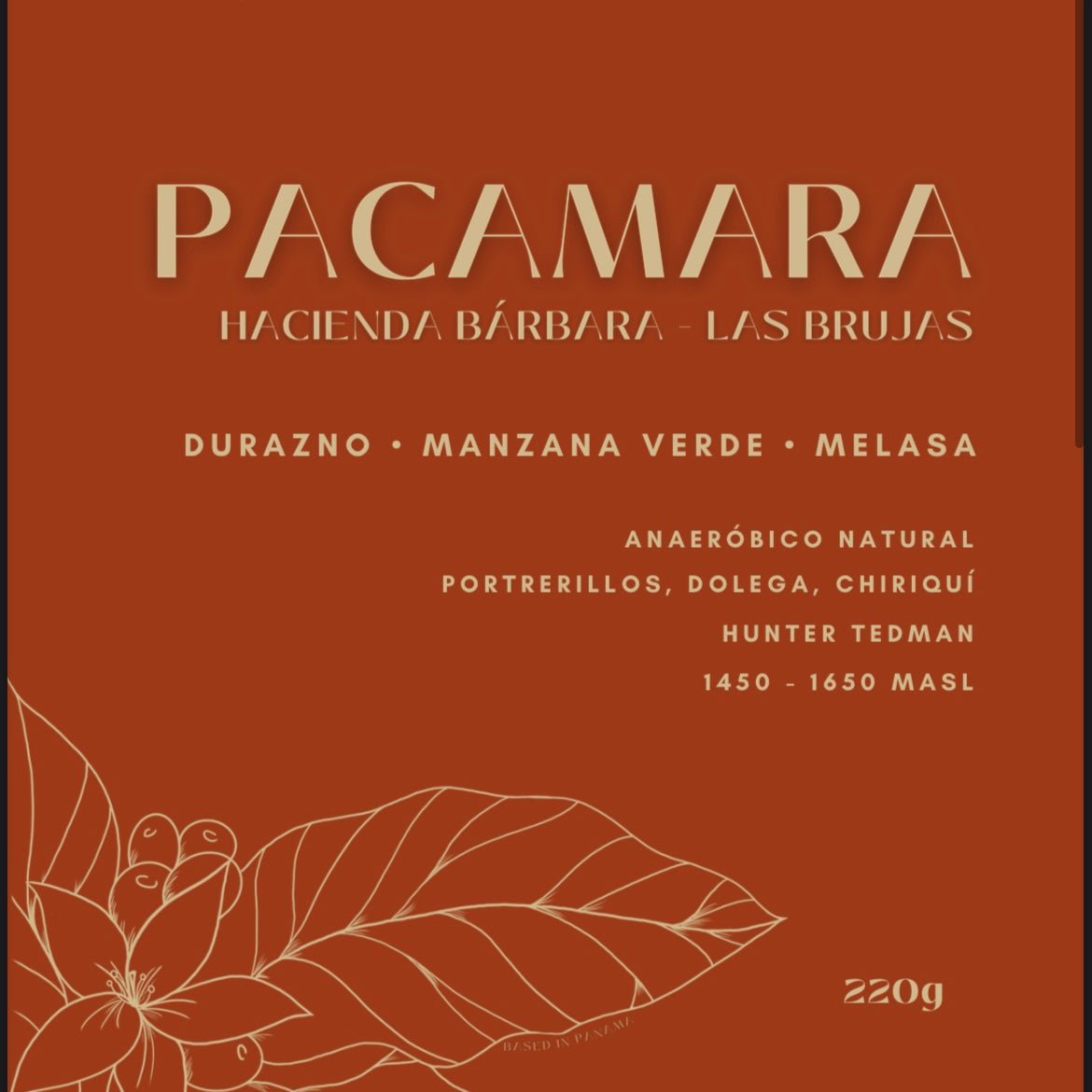 Pacamara - Hacienda Barbara