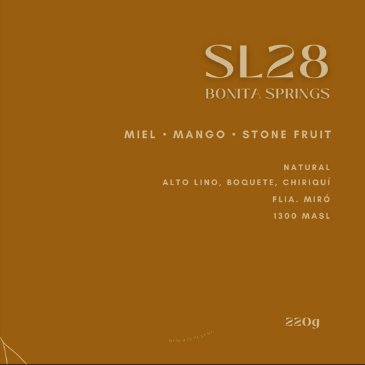 SL28 - Bonita Springs